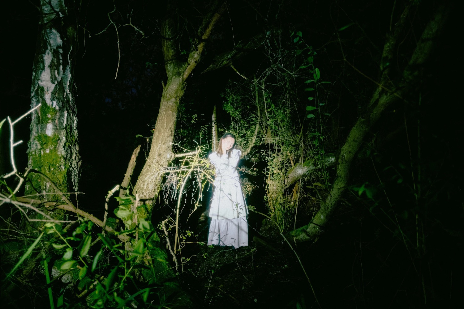 Sea Lemon © Rachel Bennett