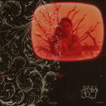 Bovine Excision - Samia