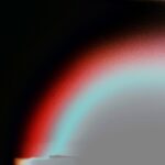 New Kind Palace - Tom Conneely & Birds of Paradise