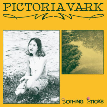 Nothing Sticks - Pictoria Vark