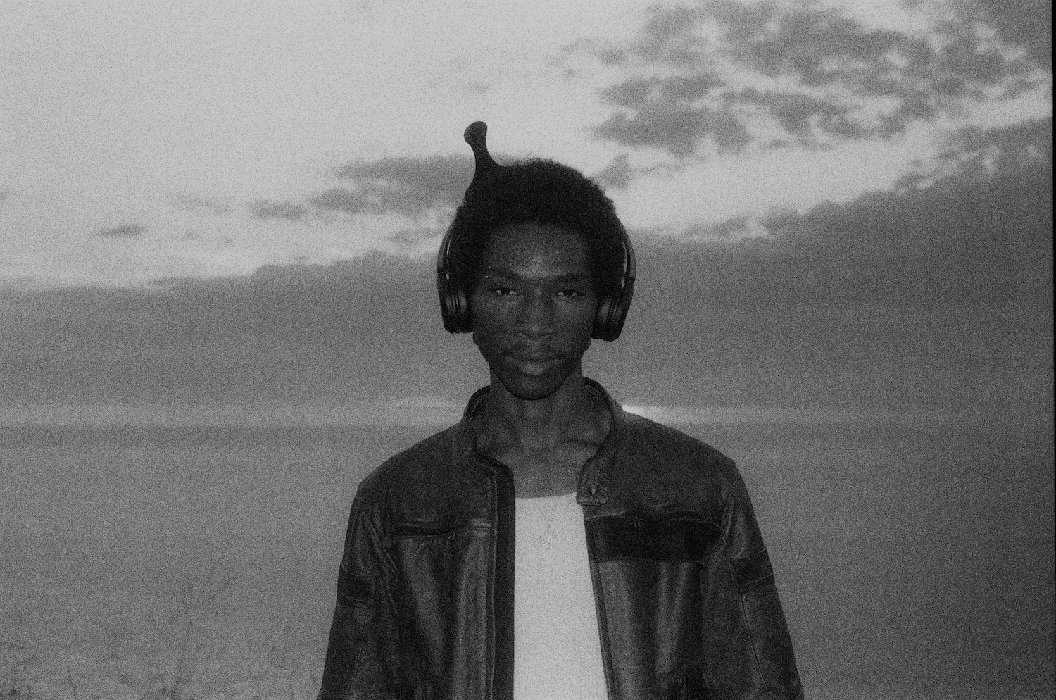 Love Spells © Dan Franco