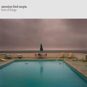 Infinity Inside a Shopping Cart - Attention Bird Utopia