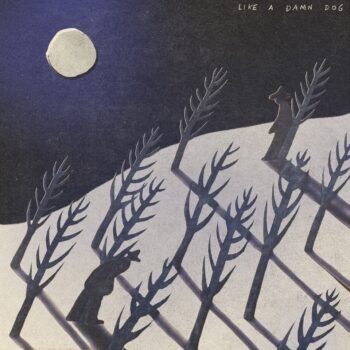 Like a Damn Dog - Sarah and the Sundays