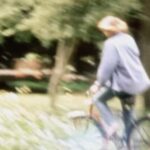 Oak Tree (Daydream) - Arcy Drive