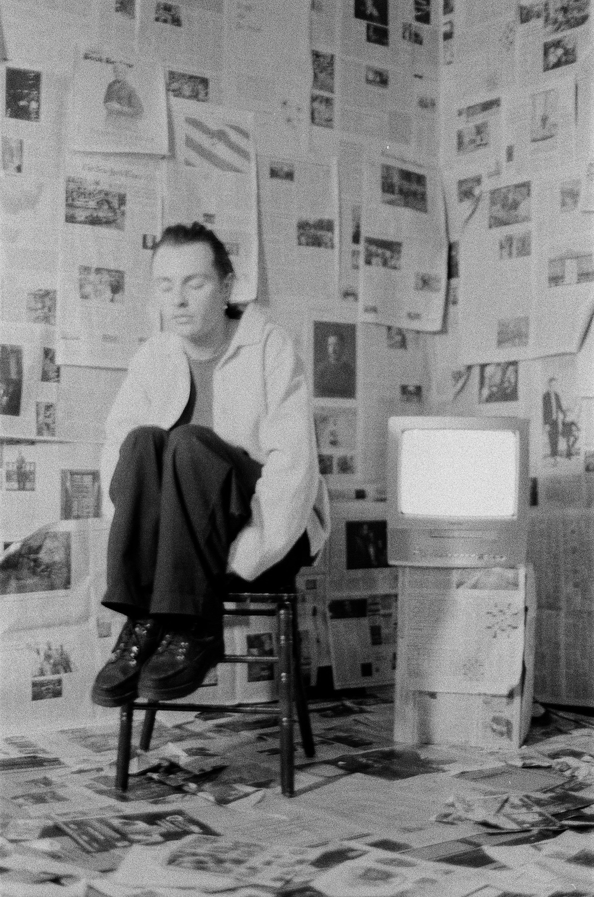 Puma Blue © Liv Hamilton