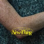 New Thing - Avery Friedman