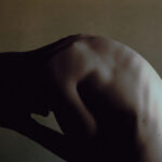 Frozen Milk - bat zoo