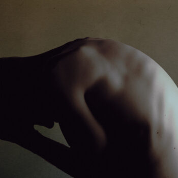 Frozen Milk - bat zoo