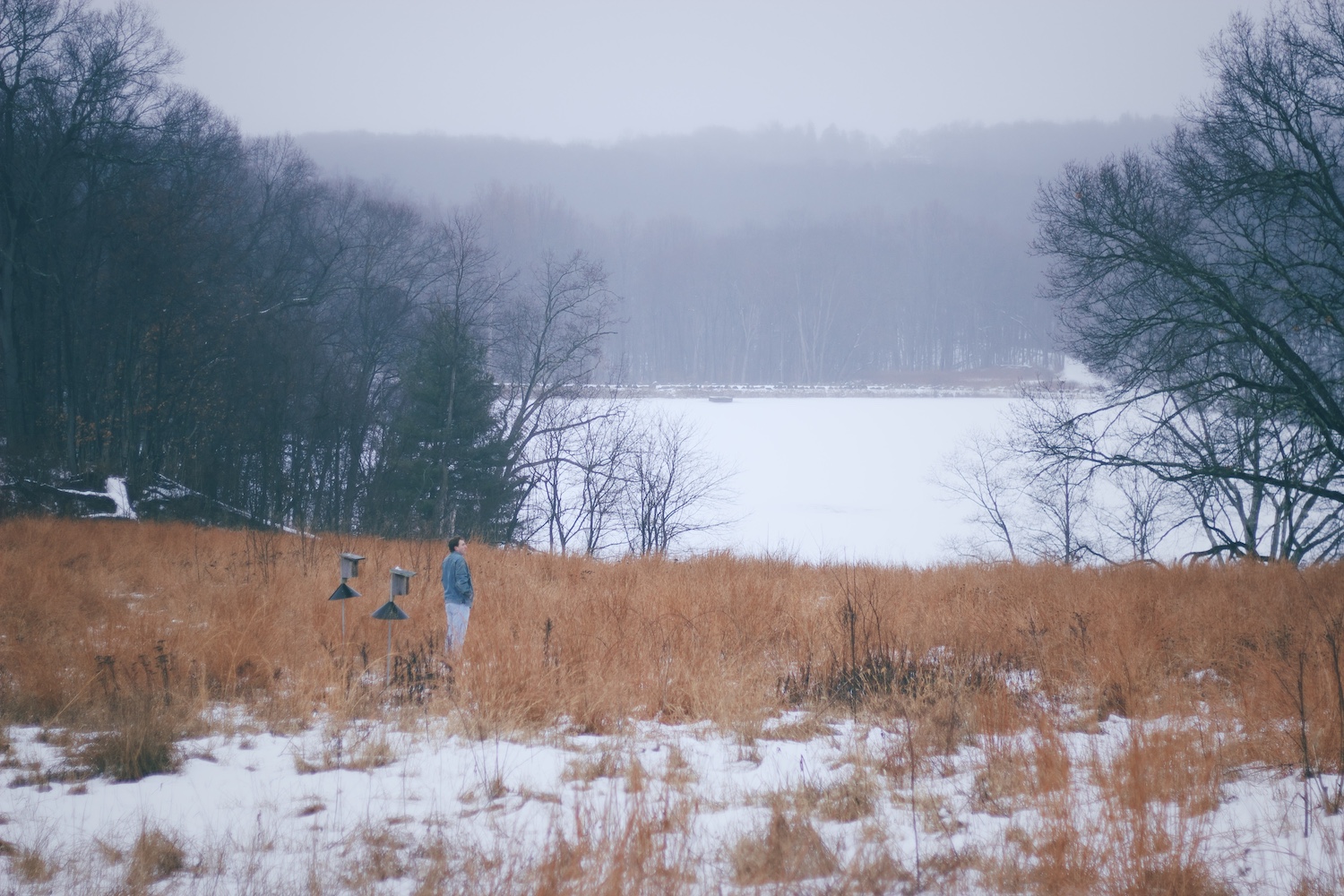 Matty Reynolds © Matt Lewis