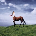 Super Pedestrian - Annie DiRusso