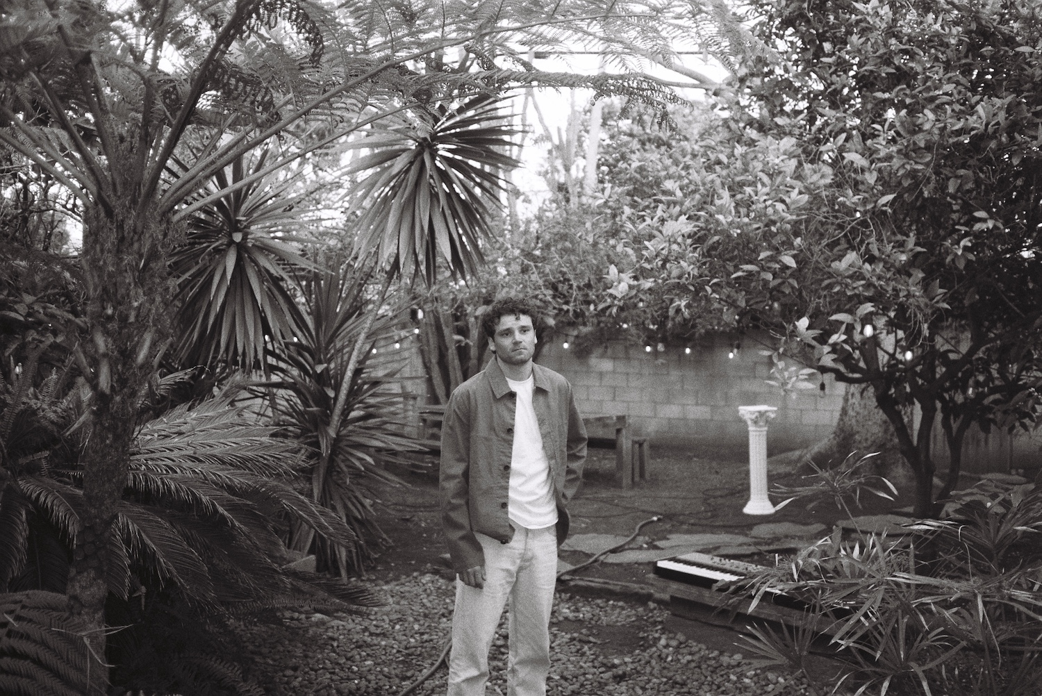 Jeffers Insley "Honey" © 2025