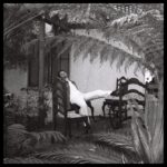 Honey - Jeffers Insley