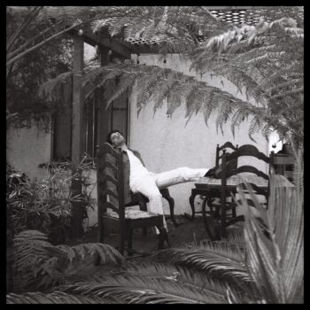 Honey - Jeffers Insley