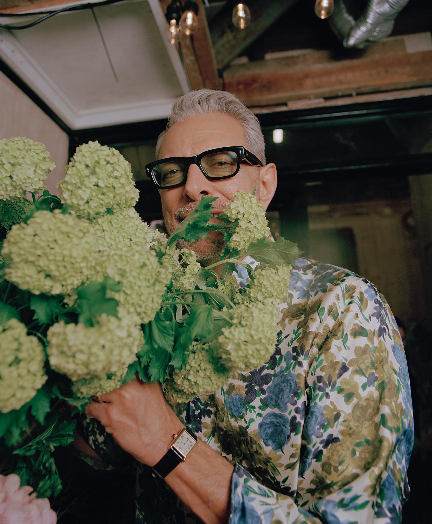 Jeff Goldblum Swings Again © Kuba Ryniewicz