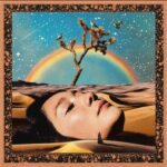 Mourning Doves of Joshua Tree