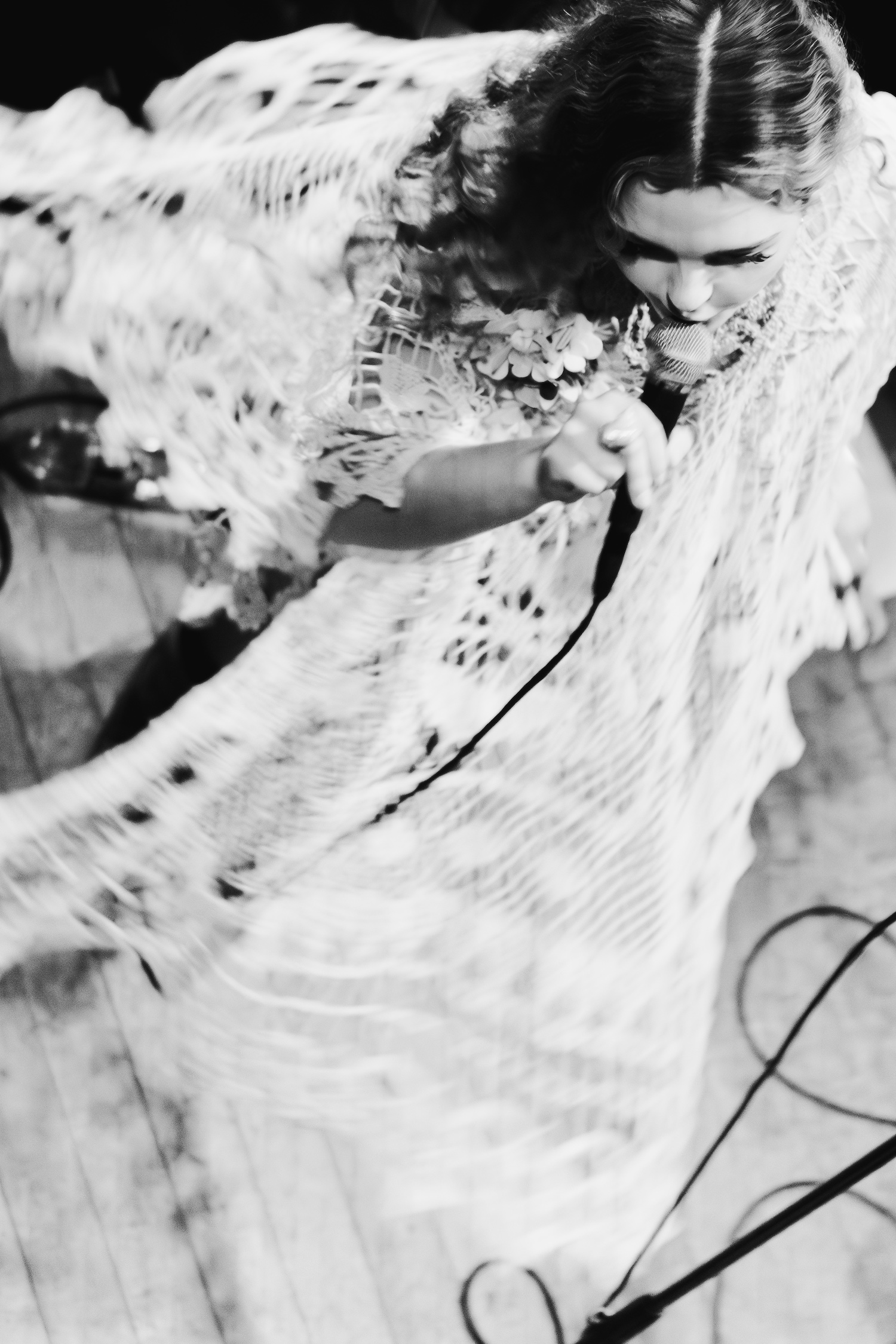 Rose Paradise © Noah Berghammer