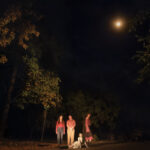 Spring Grove - The Ophelias