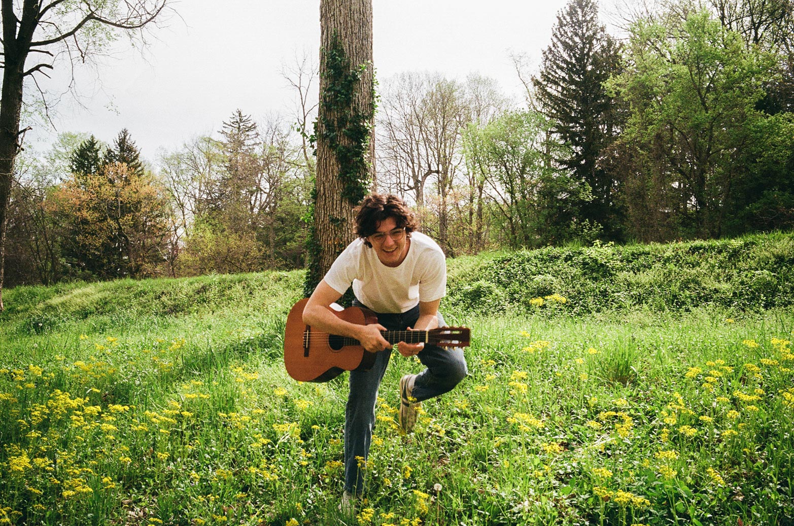 Spring Term © Claire Hensley