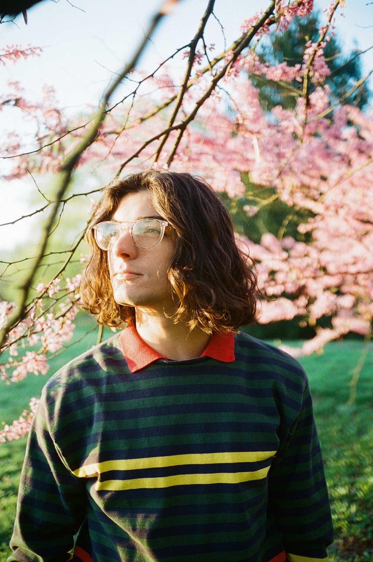 Spring Term © Claire Hensley