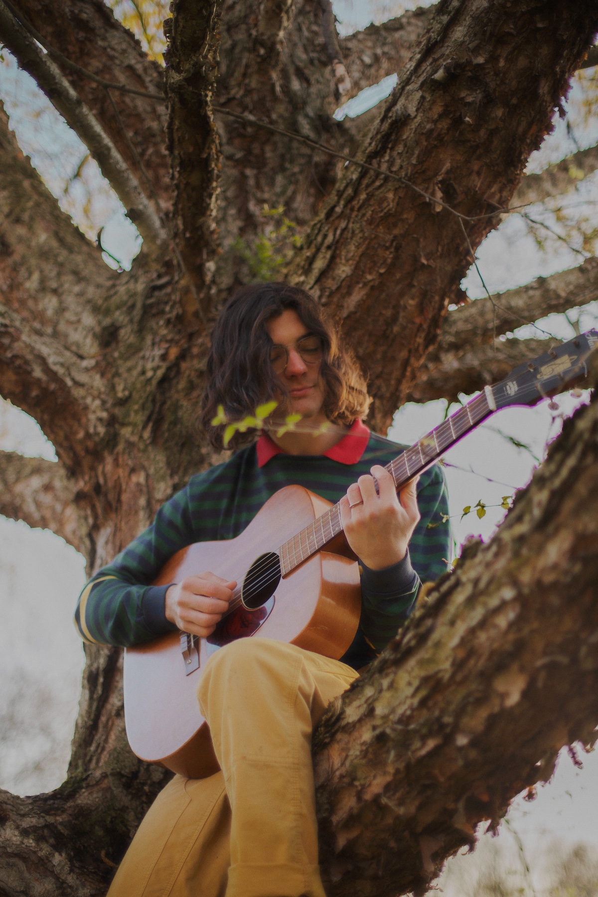 Spring Term © Claire Hensley