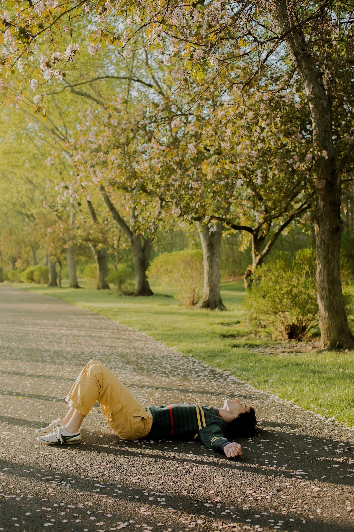 Spring Term © Claire Hensley