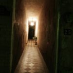 Freeze Frame - Ginger Winn