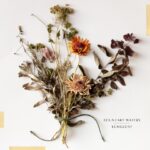 Longlost - Boundary Waters