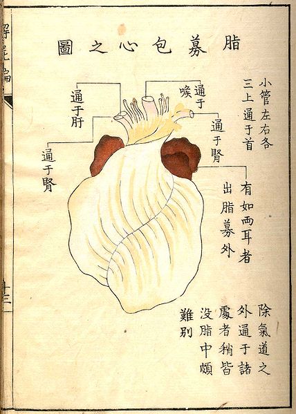 Kaishi Hen, an 18th-Century Japanese Anatomical Atlas