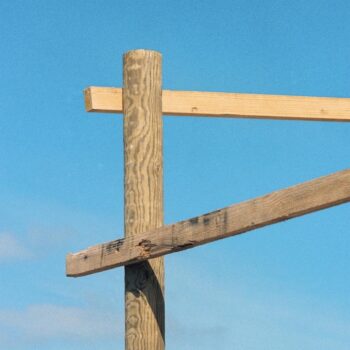 Modern Roses - Soft Loft