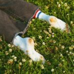 Old Friends - Liam Bauman