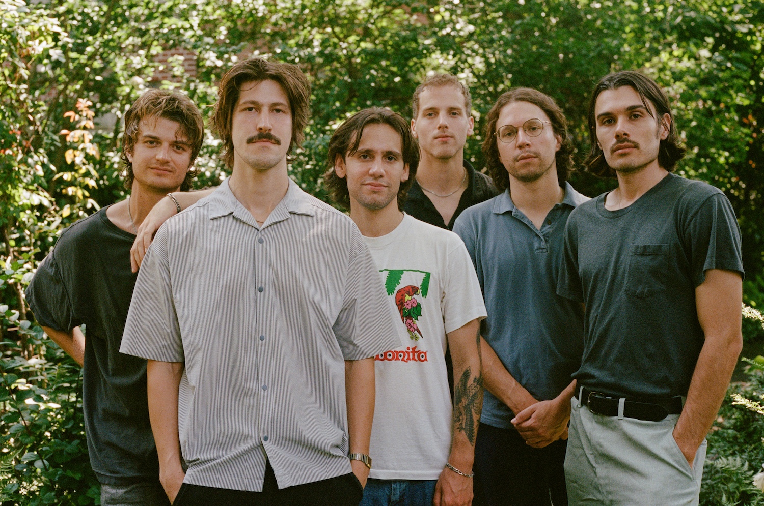 Post Animal © CJ Harvey