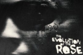 The Evolution of the Rose - Lil Skies