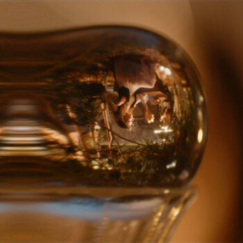 Past Life - Night Teacher