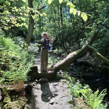 Underground River - Molly Dolphin