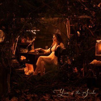 Year of the Snake - Night Teacher