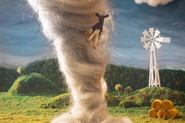 Sydney Sprague 'Peak Experience' album art