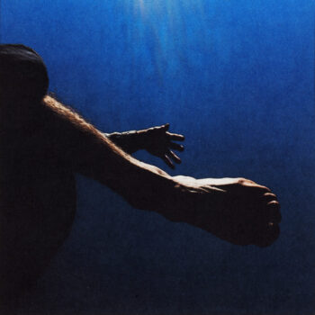 Free Ride - The Moss