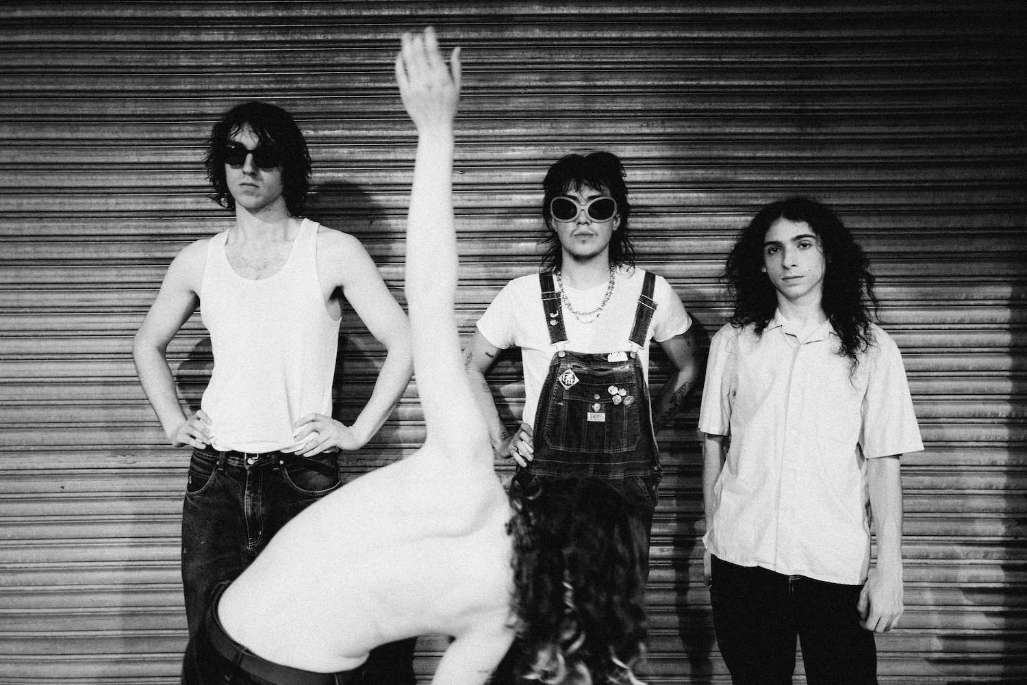 Geese © Lewis Evans