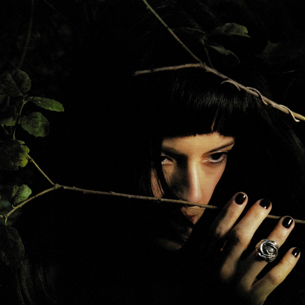 No para radio © Jaxon Whittington