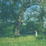 Nothing Dazzled - Alicia Clara album art