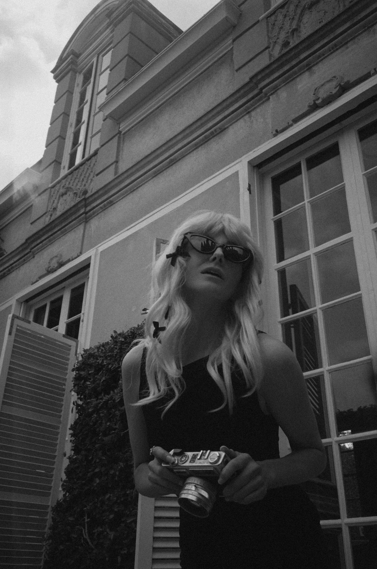 Box Blonde © Vince Rossi