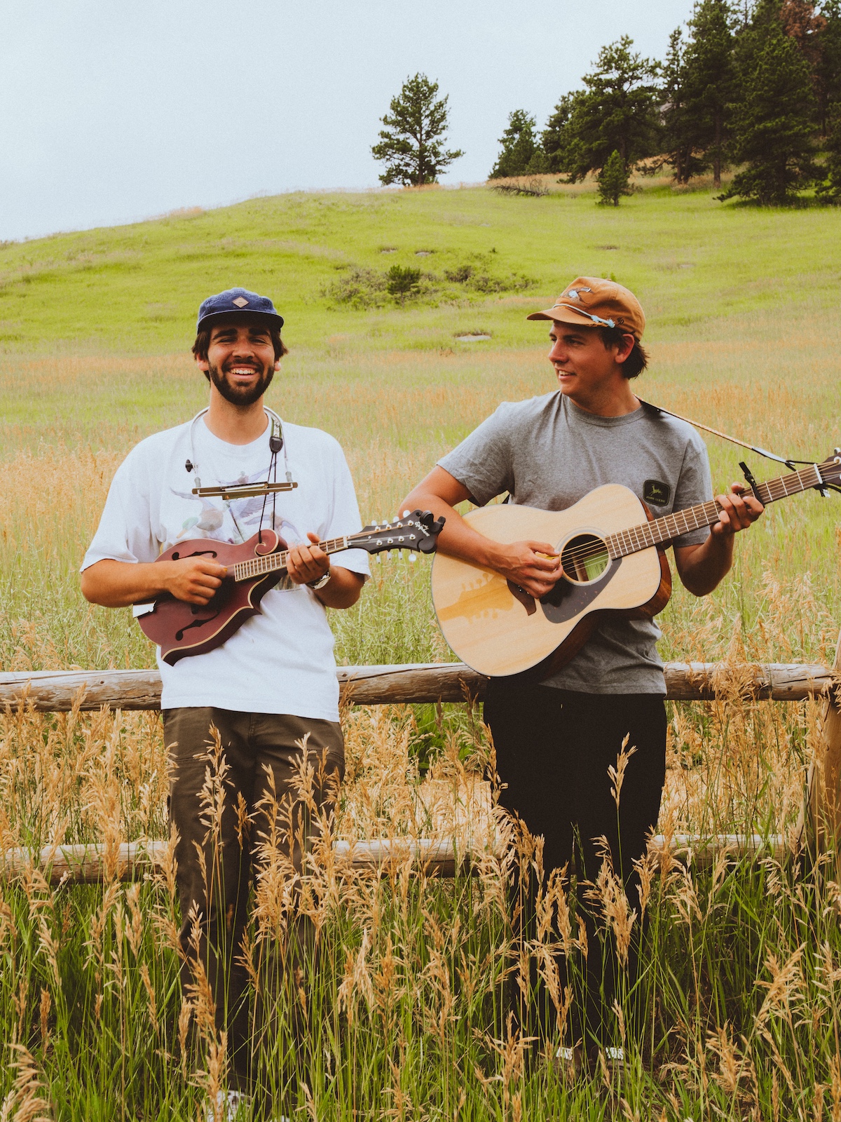 Buffalo Traffic Jam © Will Rob