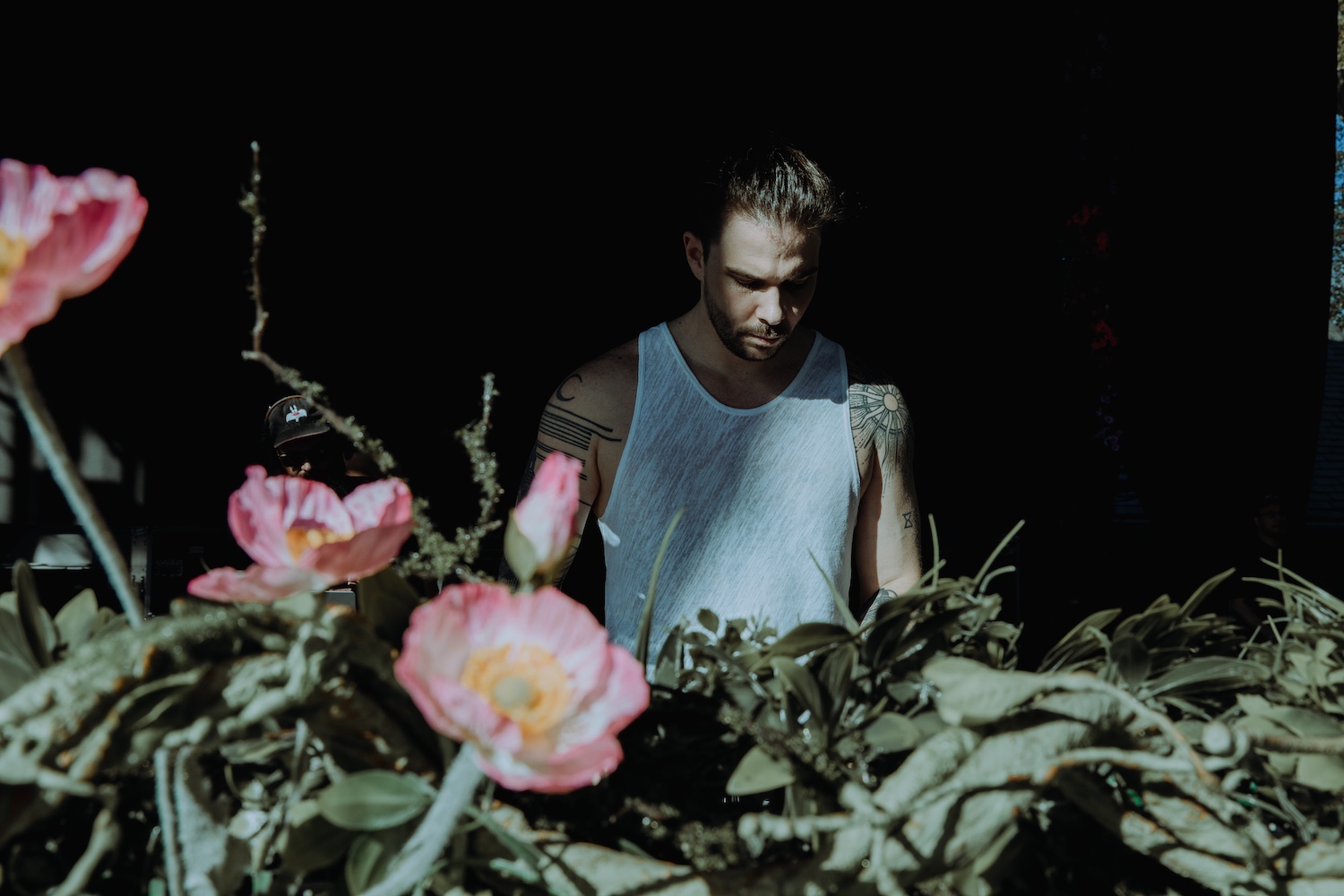 Seven Lions © Fixation Photography