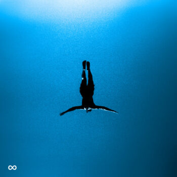 Nothing - Telescreens