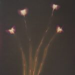 Bad Luck Is Two Yellow Flowers EP - Theo Bleak