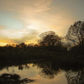 Your Name Stuck to My Teeth - Elias Hix