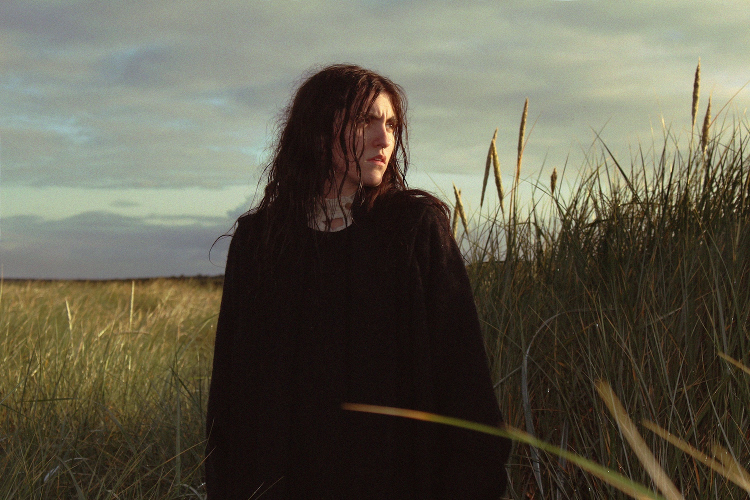 Searows ‘Death in the Business of Whaling’ © Marlowe Osteara