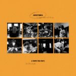 Arrhythmia (I Hope You Stay) - The Runarounds