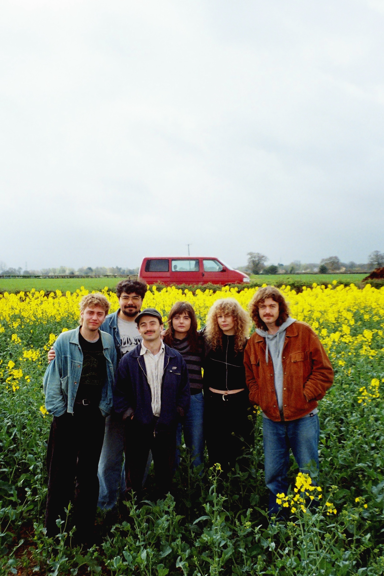 Brown Horse © Georgia Ward