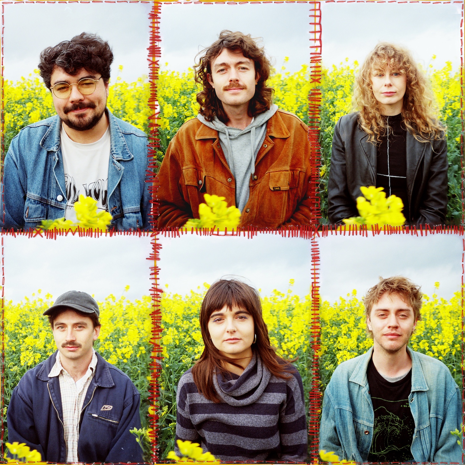 Brown Horse © Georgia Ward